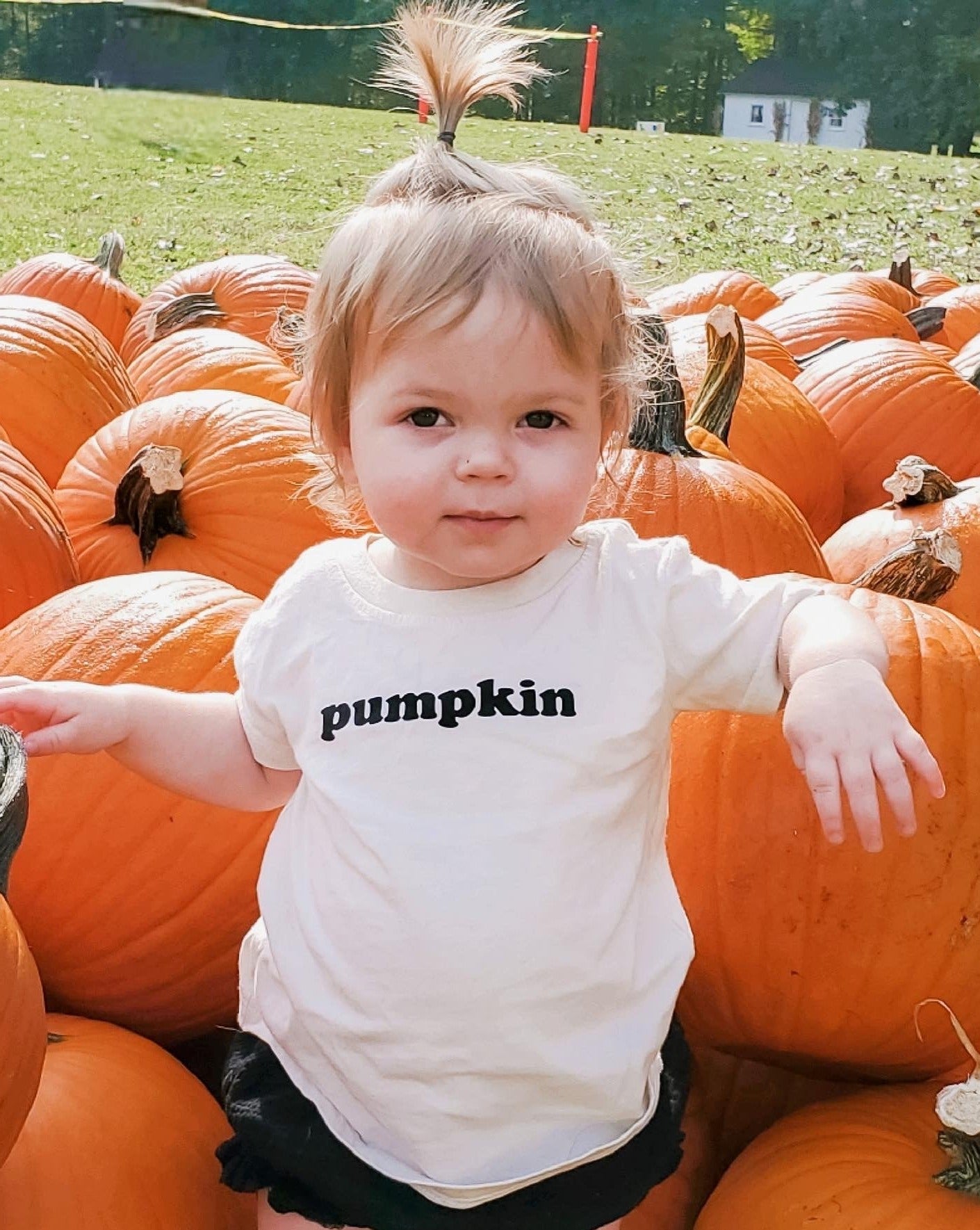 Pumpkin Onesie / Toddler Tee