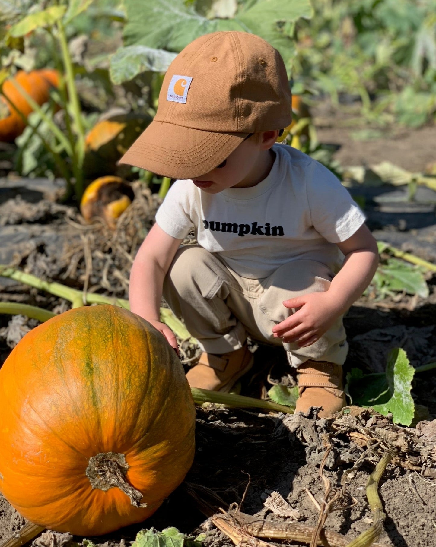 Pumpkin Onesie / Toddler Tee